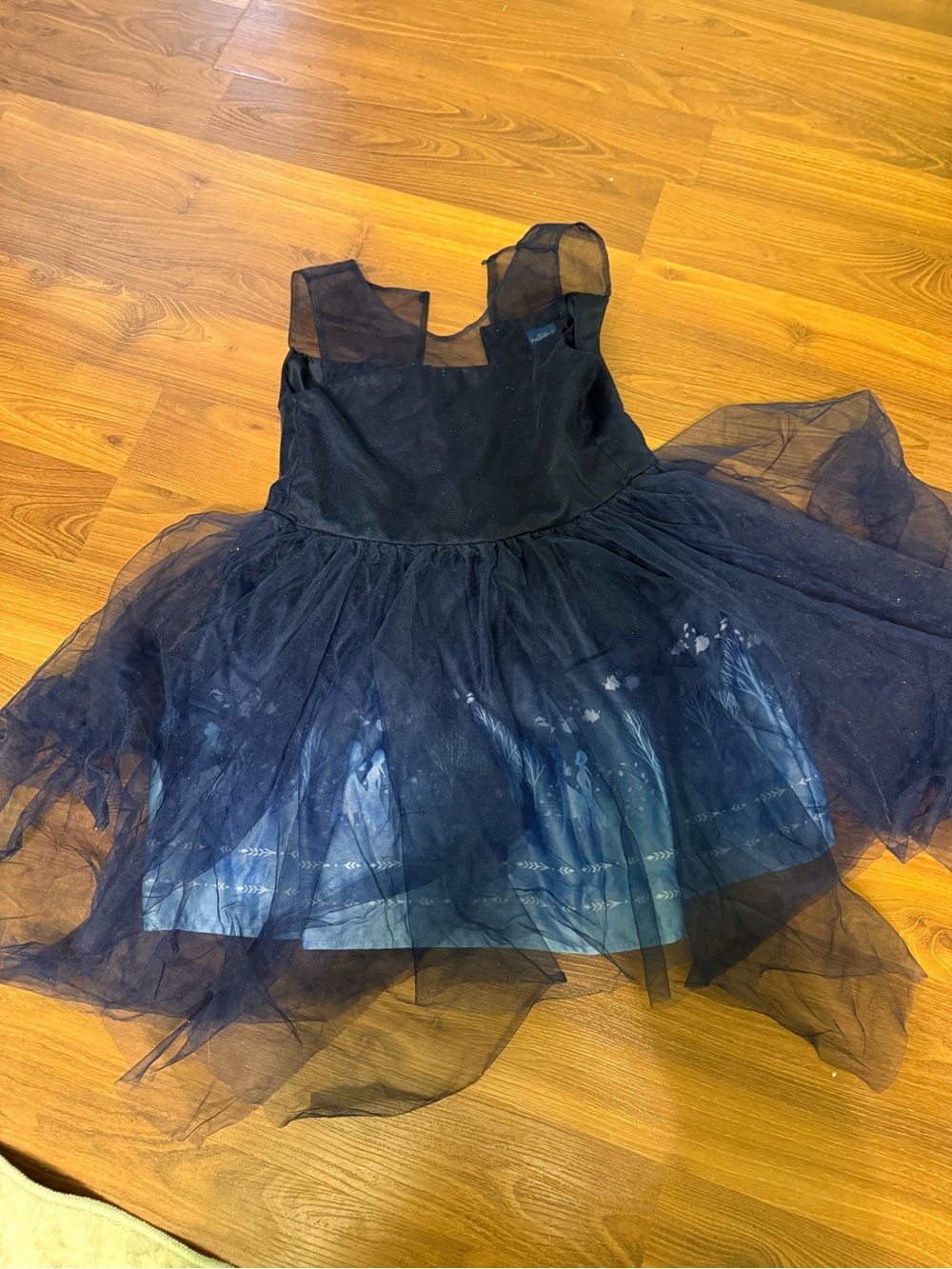 Frozen II Kids Navy Tulle Costume Dress